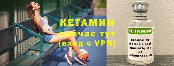 прущие грибы Медвежьегорск
