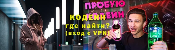 прущие грибы Медвежьегорск