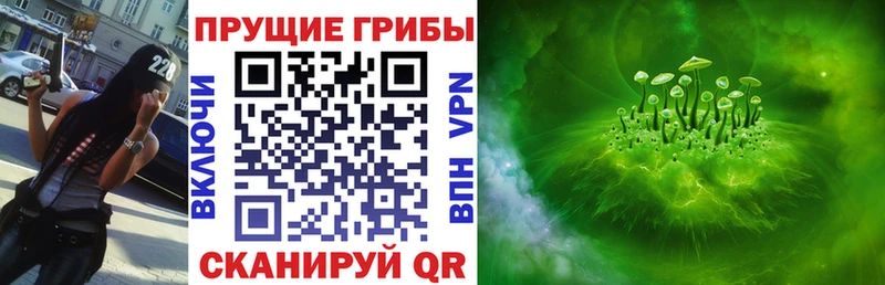 Псилоцибиновые грибы прущие грибы  Стародуб 