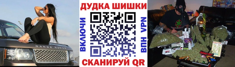 Канабис планчик  Стародуб 